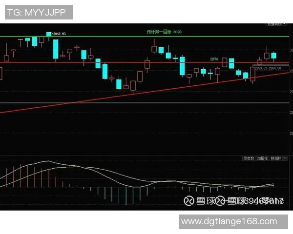 西安篮球队防守策略分析及其对比赛结果的影响探讨